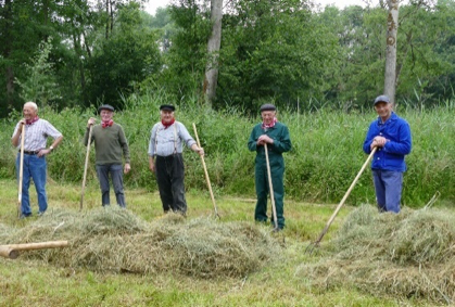 Hooiruiters op Wellenseind