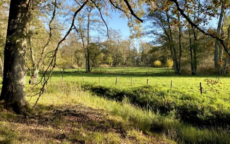 Het beekje de Reusel