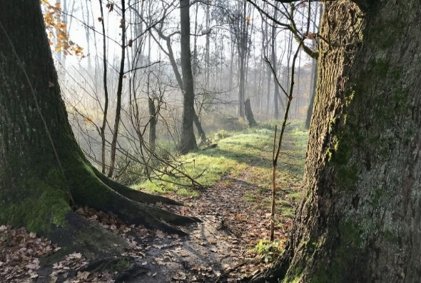 Wandelroute op Wellenseind